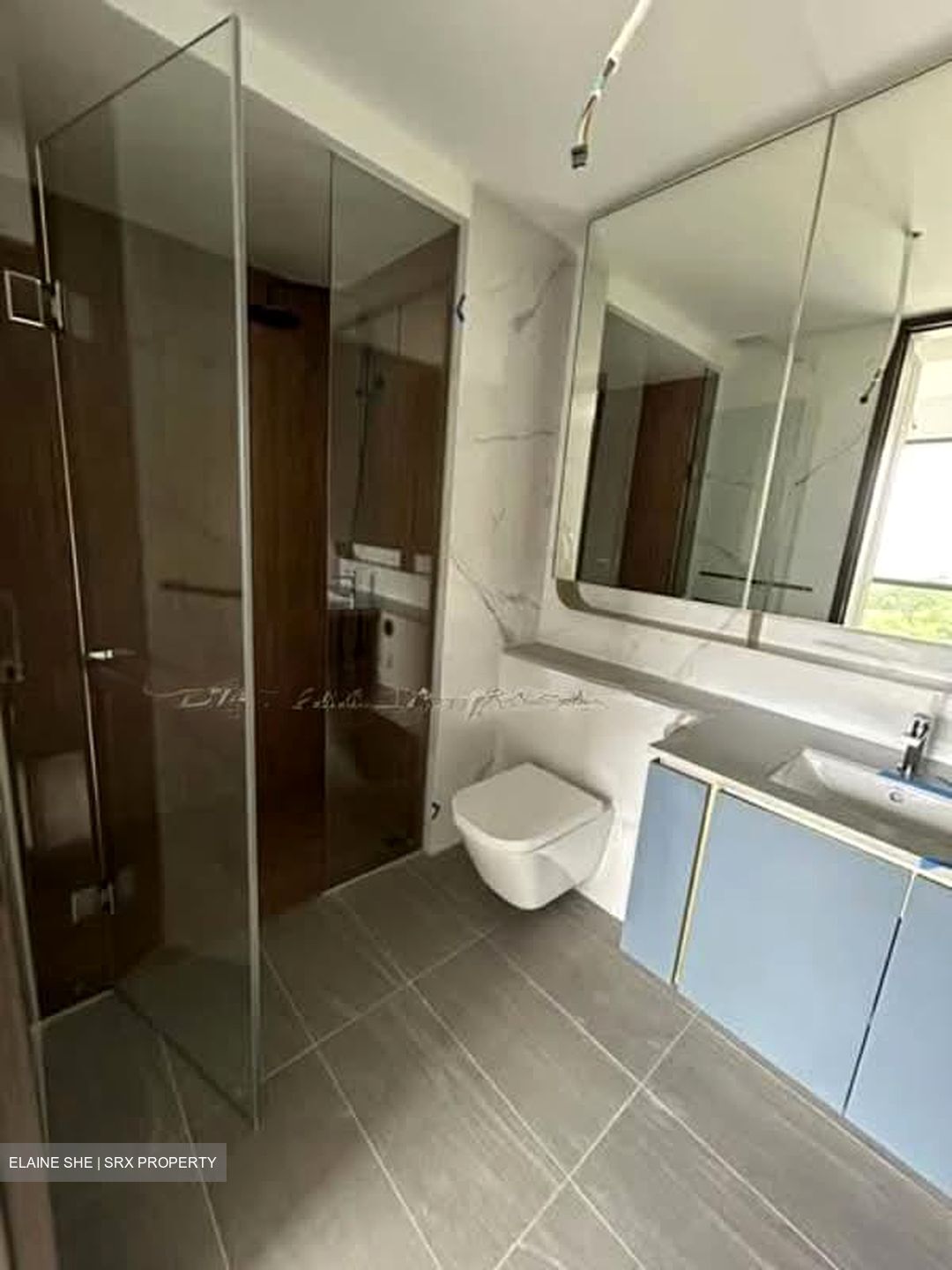 Amo Residence (D20), Apartment #555326011